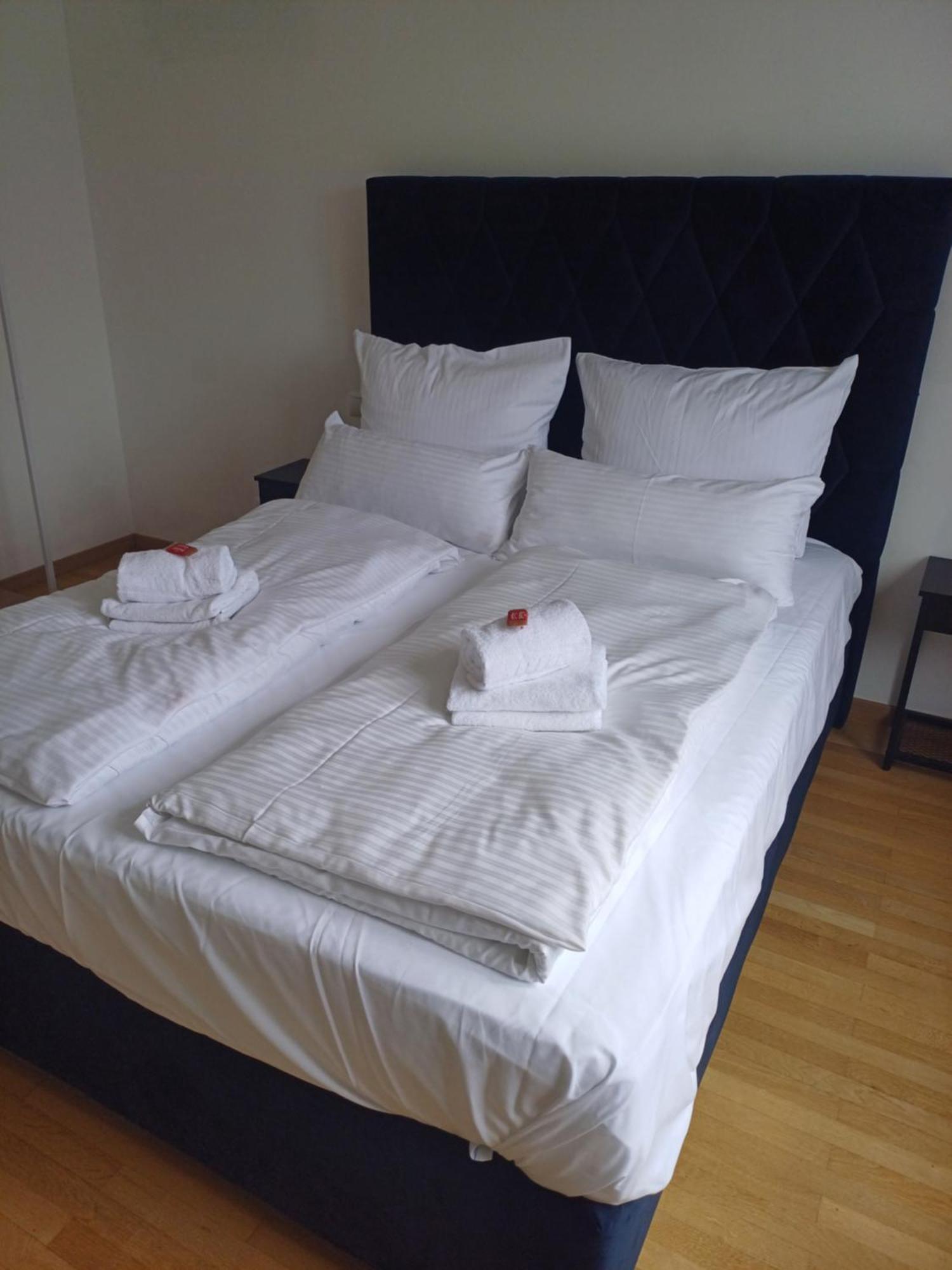 Crown Living Design Apartment - 2 Schlafzimmer - Kueche - Gratis Parkplatz - Abstellraum Fuer Fahrraeder/Ski Mader Екстериор снимка